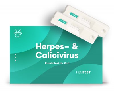 Herpes-/Calicivirus Kombotest för Katt